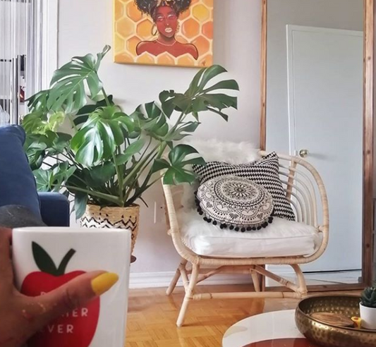 Ways to Reframe + Refresh Your Home - Plant Club | Geoponics