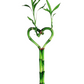 12” Heart Shaped Bamboo only stems
