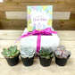 2.25” Baby Succulent Gift Box (4)