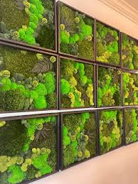 Moss wall Art