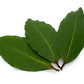 Bay leaf (Bay laurel )