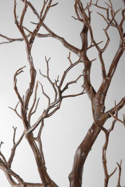 Manzanita wood tree 8’
