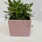 Pink ceramic pot 5” (mother day gift)