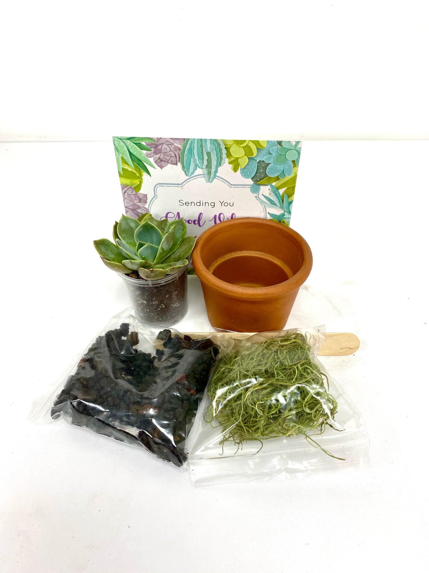 Terracotta Succulent DIY Box