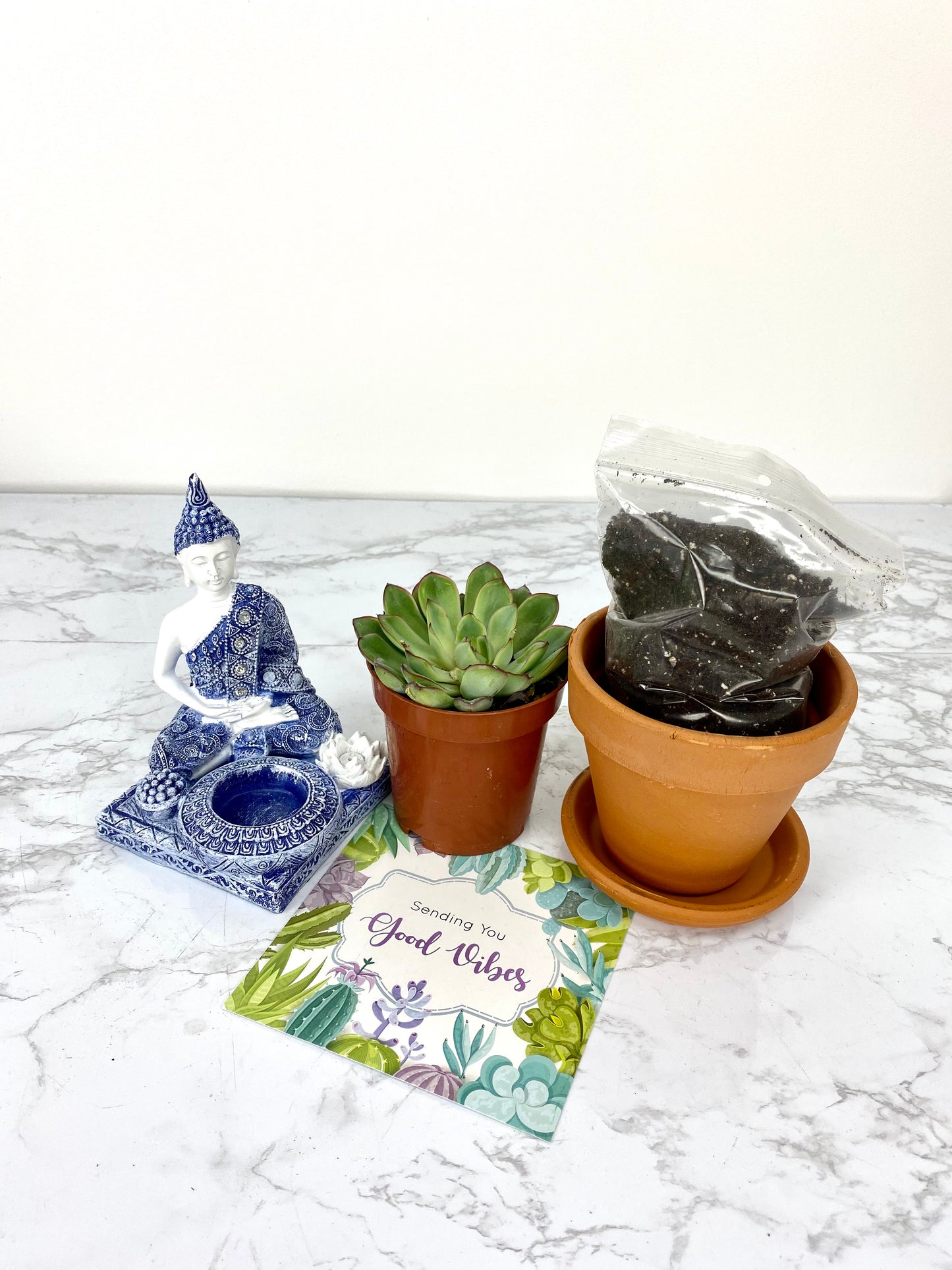 Good Vibes DIY Plant Gift Box