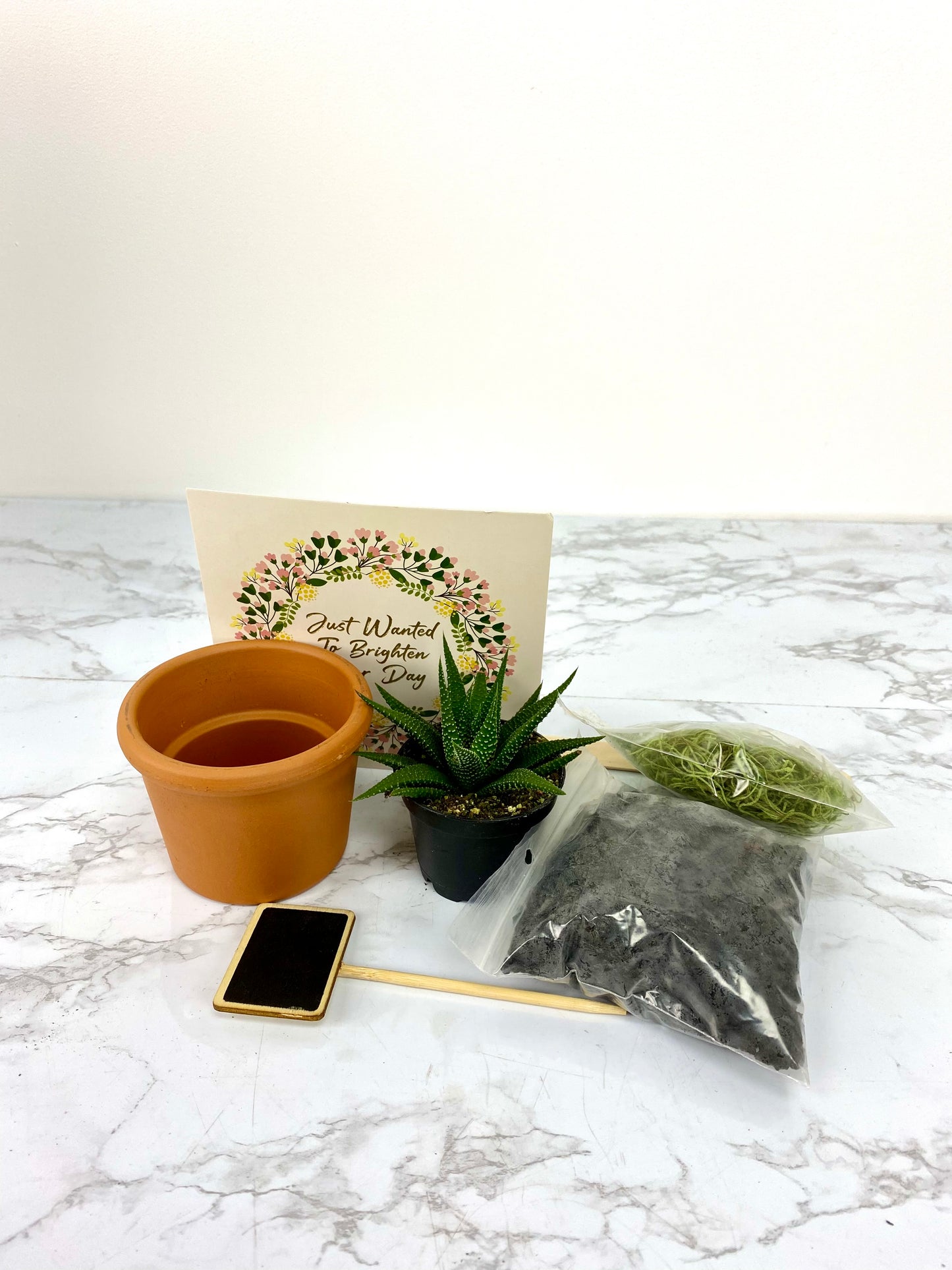 Simple Nature Succulent DIY Gift Box