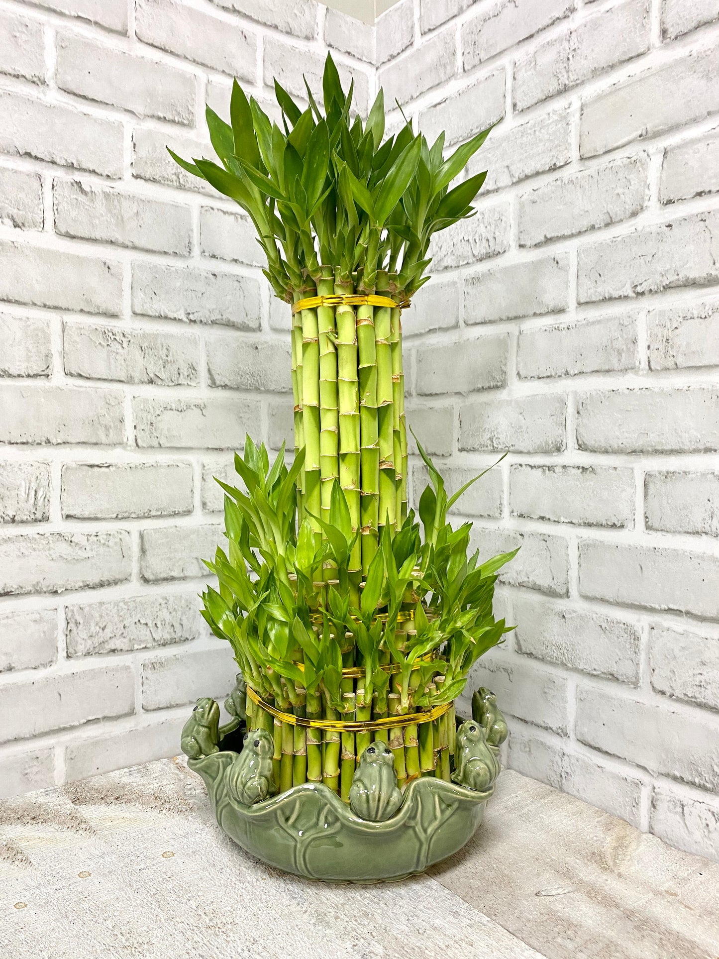 Tower Bamboo with pot