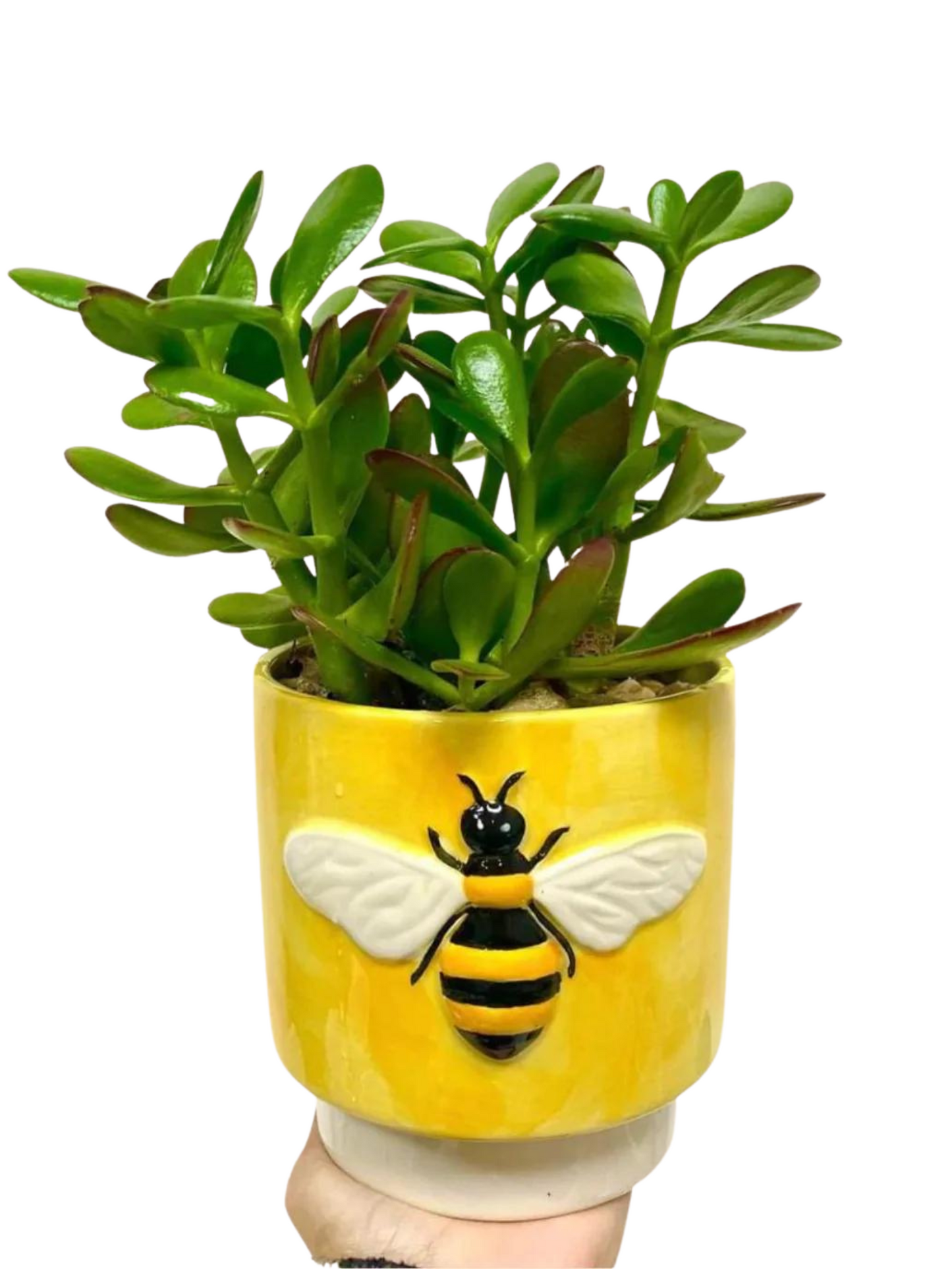 HoneyBee Planter