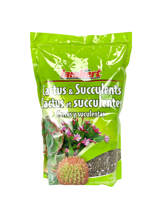 Cactus & Succulent potting Soil (4.4 L)