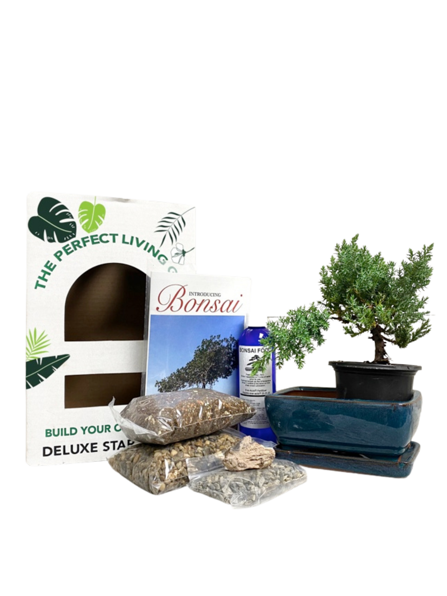 Ultimate Bonsai Starter Kit with juniper bonsai