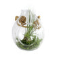Premium Hanging Glass Vase - Geoponics Inc