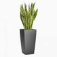 Tall square black planter (poly fiber stone)