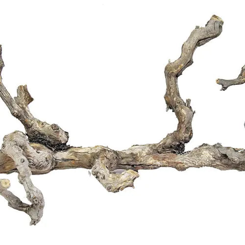 Grape wood branch 3’