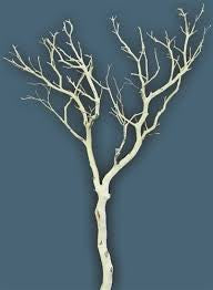 Manzanita wood Tree branch 6’