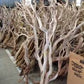 Manzanita wood branches 4’