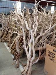 Manzanita wood Tree branches 4’